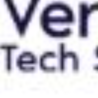 Veridian Tech Solutions